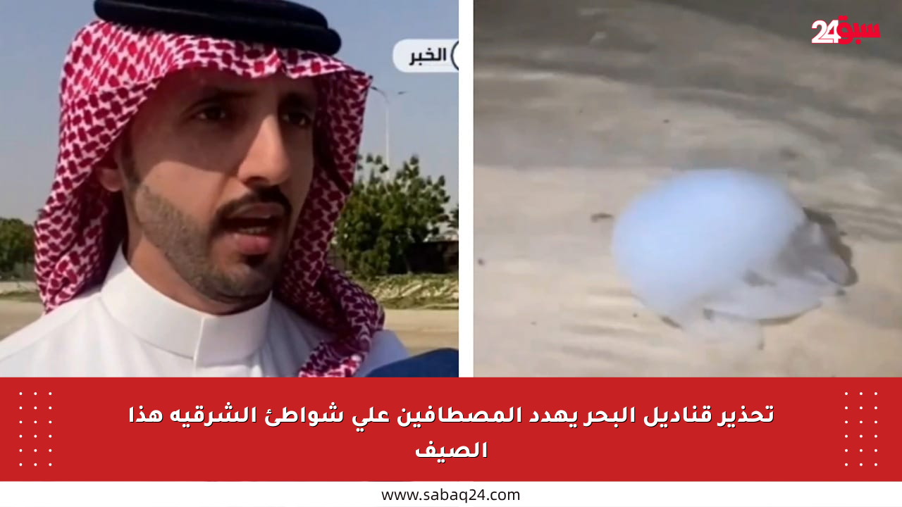 تحذير قناديل البحر يهدد المصطافين على شواطئ الشرقية هذا الصيف